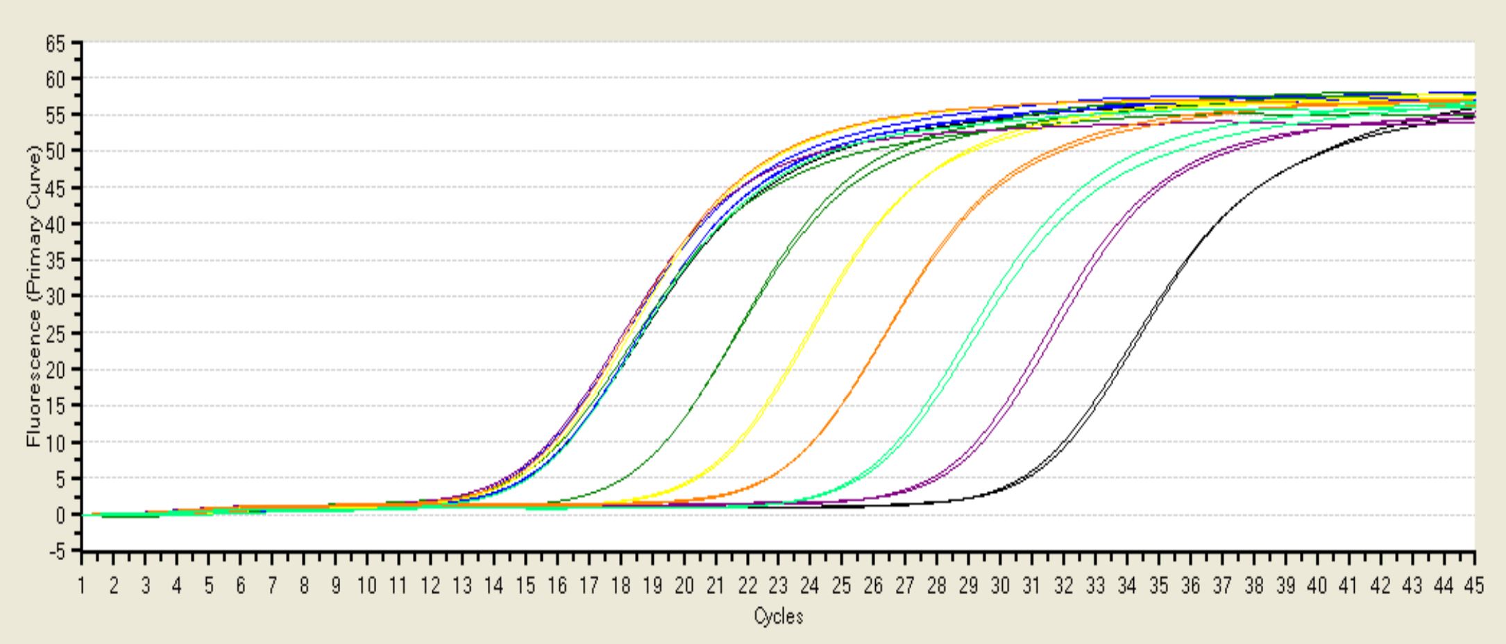 1660207663938282.jpg 4.jpg