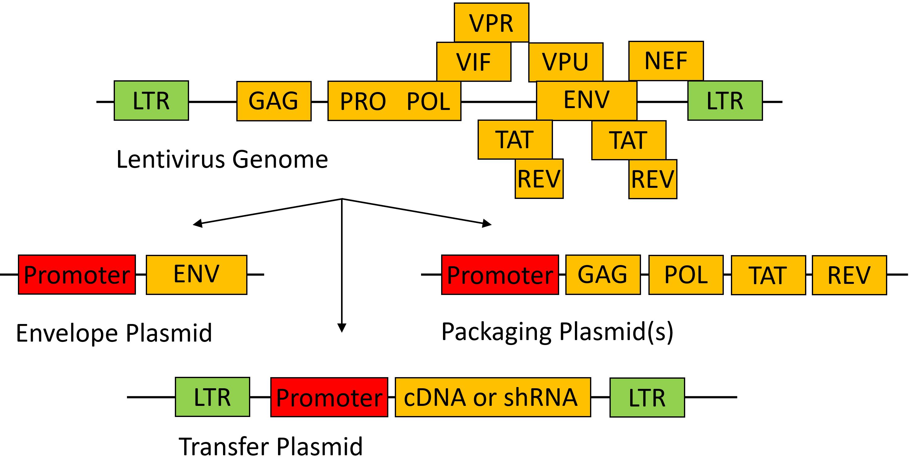 1660311491761797.jpg 2.JPG