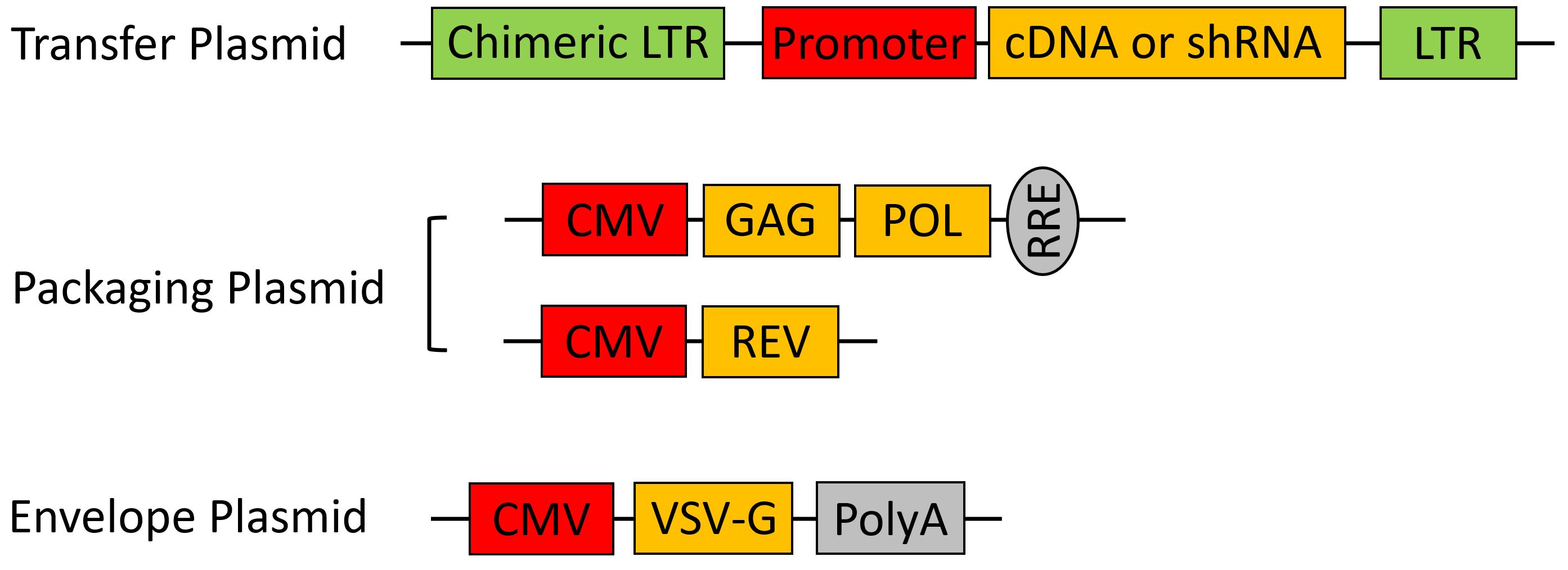 1660311563769525.jpg 3.JPG